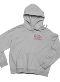 DEIST DRAGIN CHUTES Gray Hoodie Sweatshirt Pullover