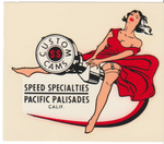 SPEED SPECIALTIES Custom Cams Original Vintage Water Slide Decals Decal Set (2)