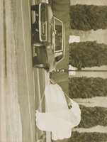 1969 '69 PHR Popular Hot Rodding Wide Word of Funny Cars Pictorial